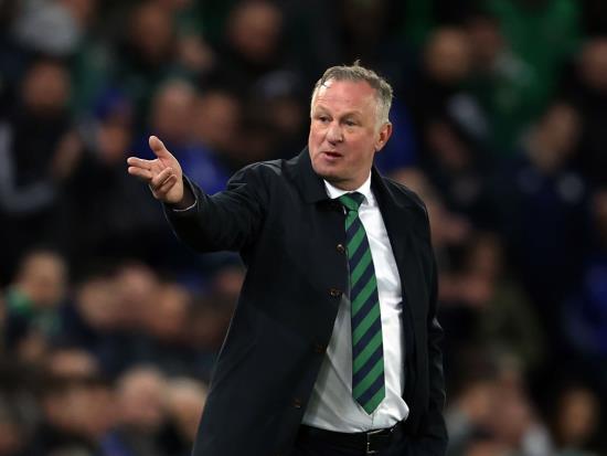 Michael O’Neill rues missed chances as Northern Ireland suffer Finland setback 55goal
